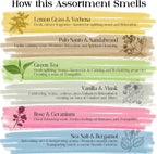 Incense Sticks Organic Non Toxic - Pack of 6 Natural Inscents with Insence Holder -120 Sticks, Clean Burn, Boho Gift Set, Palo Santo & Sandalwood, Vanilla Musk, Rose, Green Tea, Lemon Grass